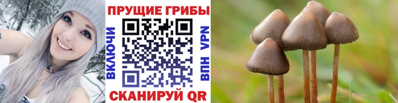 hydra tor  Суджа  Галлюциногенные грибы прущие грибы 