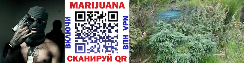 ссылка на мегу онион  Суджа  Марихуана THC 21%  цена наркотик 